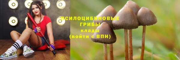 стафф Нефтегорск