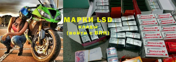 стаф Нефтекумск