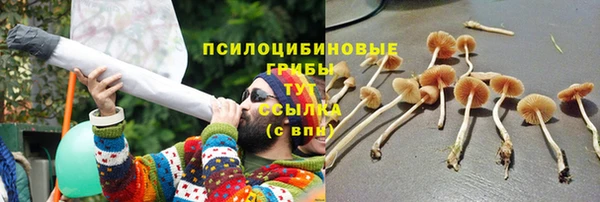 стаф Нефтекумск