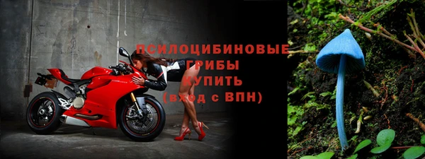 стафф Нефтегорск