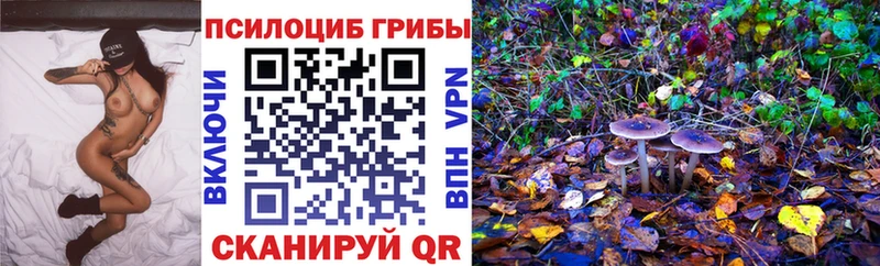 где купить наркотик  Киров  Галлюциногенные грибы Magic Shrooms 