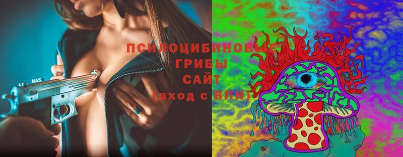 закладки  Киров  Галлюциногенные грибы Psilocybe 