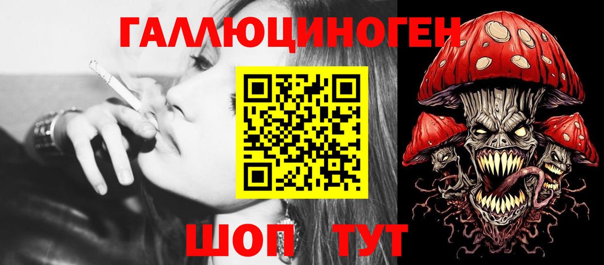 Псилоцибиновые грибы Psilocybine cubensis Киров