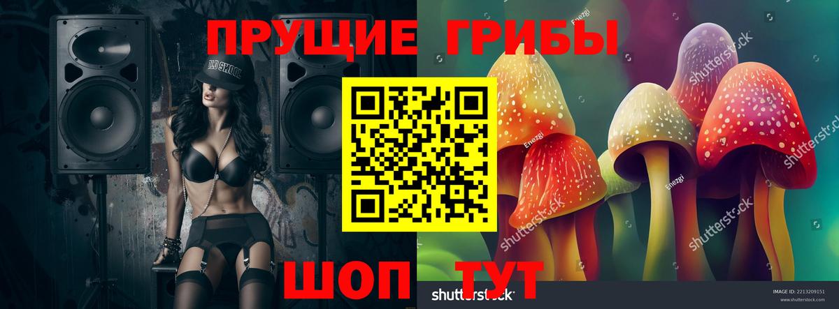 Псилоцибиновые грибы Psilocybine cubensis  Псилоцибиновые грибы GOLDEN TEACHER  что такое   Вход с VPN  Киров 