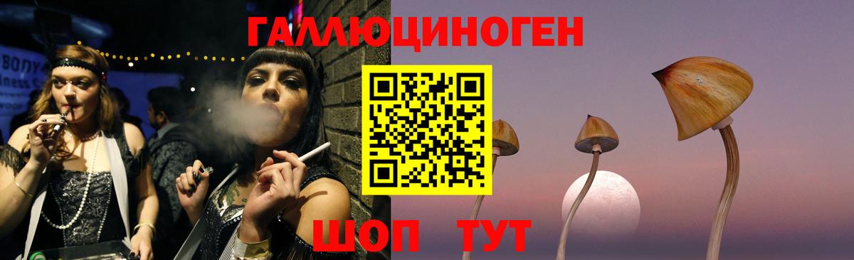 Псилоцибиновые грибы Psilocybine cubensis  Киров  Псилоцибиновые грибы прущие грибы 